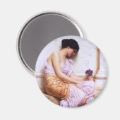 Violette, Süßviolette c1908 Magnet (Vorderseite/Rückseite)
