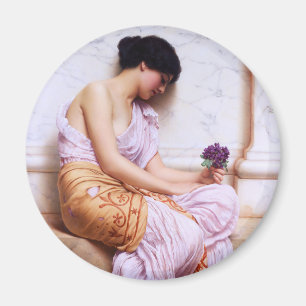 Violette, Süßviolette c1908 Magnet