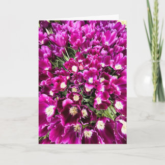 Violette Tulpen Leere Karte