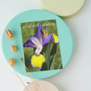 Violette und gelbe Iris-Blumen-Gratulation Karte