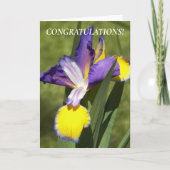 Violette und gelbe Iris-Blumen-Gratulation Karte (Vorderseite)