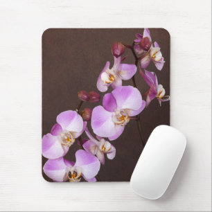Violette und weiße Orchideen-nahe hohe Fotografie Mousepad