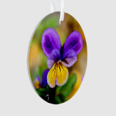 Violette Verzierung Ornament (Vorderseite)