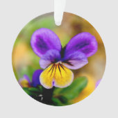 Violette Verzierung Ornament (Vorderseite)