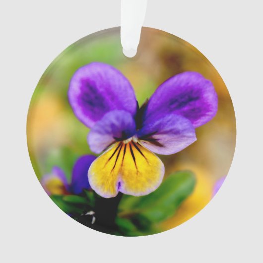 Violette Verzierung Ornament (Vorderseite)