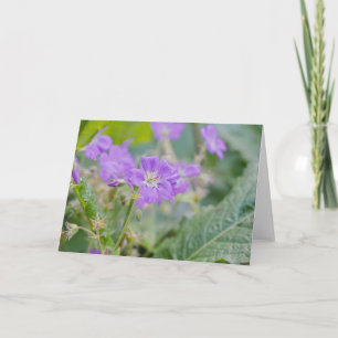 Violette Wildblume Lila Geranie Blumenfoto Karte