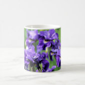 Violetten blauen sibirischen Iris-Caesars Bruder Kaffeetasse (Mittel)