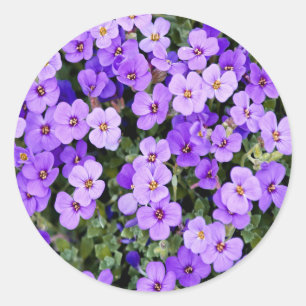 Violetten Runder Aufkleber