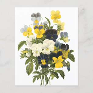 Violetten und Pansy Blume Botanische Kunst Flyer