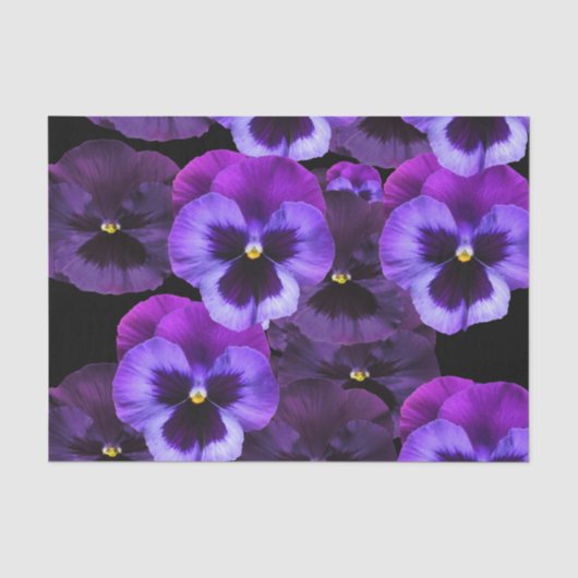 VIOLETTENSPIELE SEIDENPAPIER (Vorderseite)