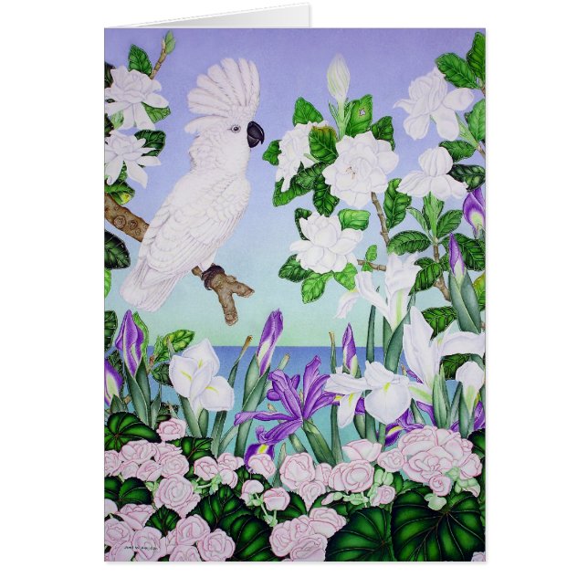 Violetter Cockatoo (Vorne)