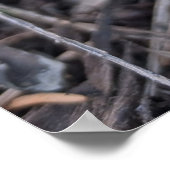 Violetter Krokus Poster (Ecke)