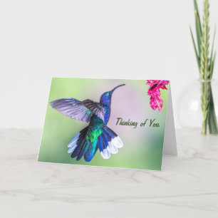 Violetter Säbelflügelkolibri denkt an Dich Karte