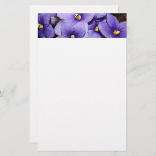 Violettes Boquet Briefpapier (Vorne/Hinten)