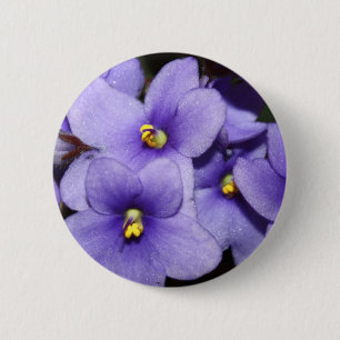 Violettes Boquet Button