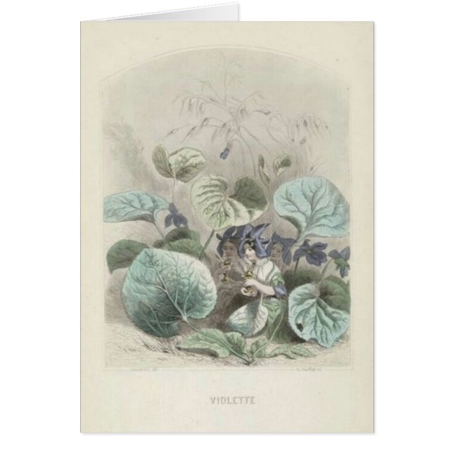 Violettes Les Fleurs (Vorne)