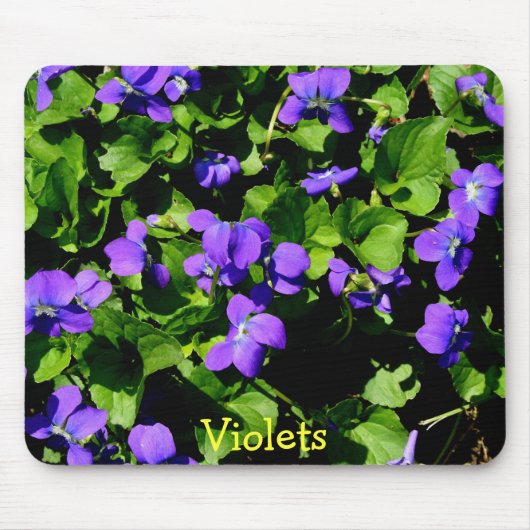 Violettes Mousepad (Vorne)