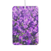 Violettglocken Blume Autolufterfrischer (Vorderseite)