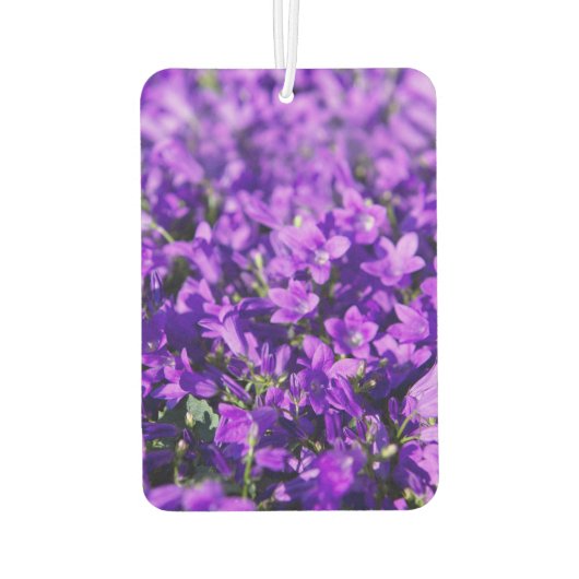 Violettglocken Blume Autolufterfrischer (Rückseite)