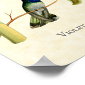 Violettköpfiger Kolibri-Kunstprint Poster (Ecke)