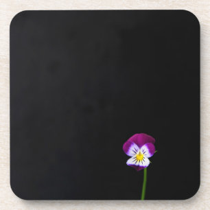 Violettküste Blume Getränkeuntersetzer