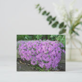 Violettmasse der Blume Postkarte (Stehend Vorderseite)
