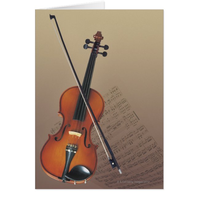 Violin (Vorne)