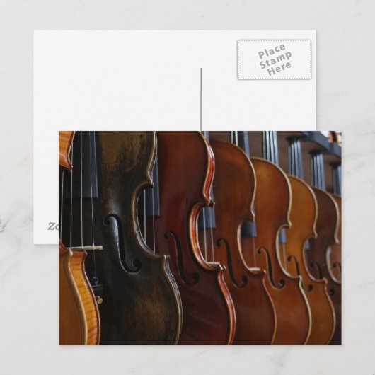Violin Lineup Postkarte (Vorne/Hinten)