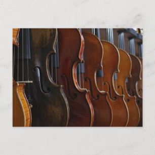 Violin Lineup Postkarte