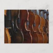 Violin Lineup Postkarte (Vorderseite)