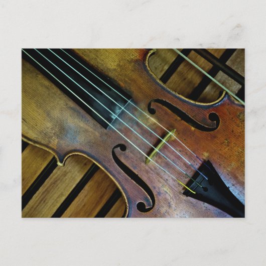 Violin Postkarte (Vorderseite)