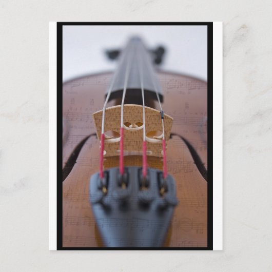 Violin Postkarte (Vorderseite)