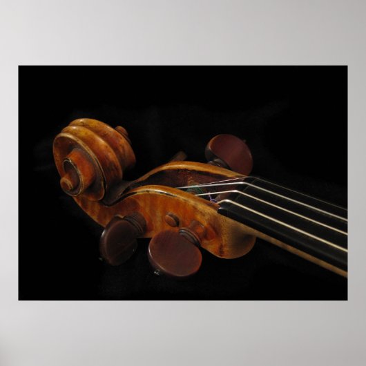 Violin Scroll Poster (Vorne)