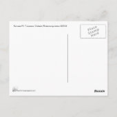 Violinist Postkarte (Rückseite)