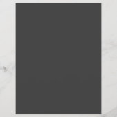 Violinist, Violin Lessons Flyer (Hinten)