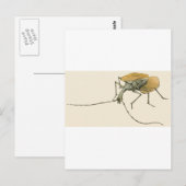 Violinkäfer Postkarte (Vorne/Hinten)