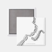 Violinkonzert Beethovens Magnet (Vorderseite/Rückseite)