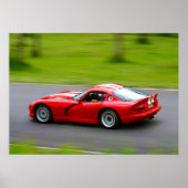 Viper Fang Poster (Vorne)