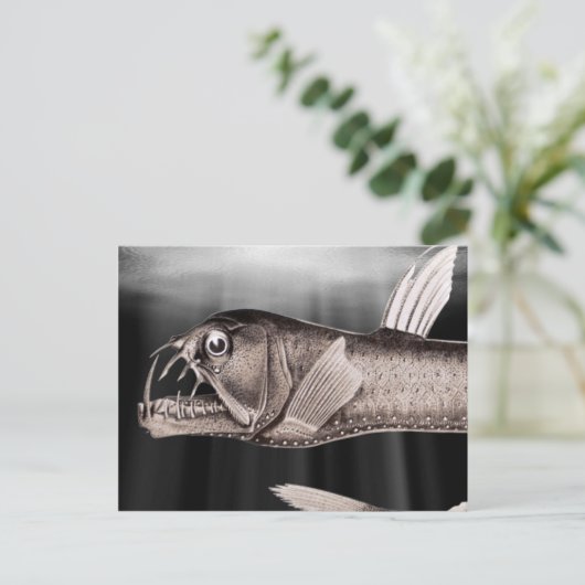 Viperfische Postkarten (Stehend Vorderseite)