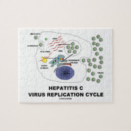 Virenreproduktions-Zyklus der Hepatitis-C Puzzle