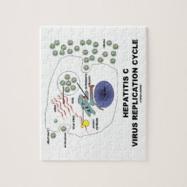 Virenreproduktions-Zyklus der Hepatitis-C Puzzle