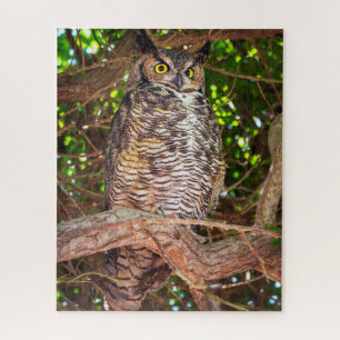 Virenuhufeule-Eulen-Puzzle Wald-Wildtier-Kunst Puzzle