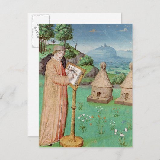 Virgil schreibt das Leben der Bienen Postkarte (Vorne/Hinten)