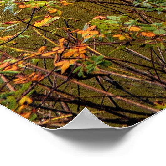 virginia5050 poster (Ecke)