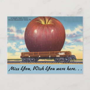 Virginia, Apfel, Shenandoah-Tal Postkarte