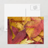 Virginia Autumn Leaves Postcard Postkarte (Vorne/Hinten)