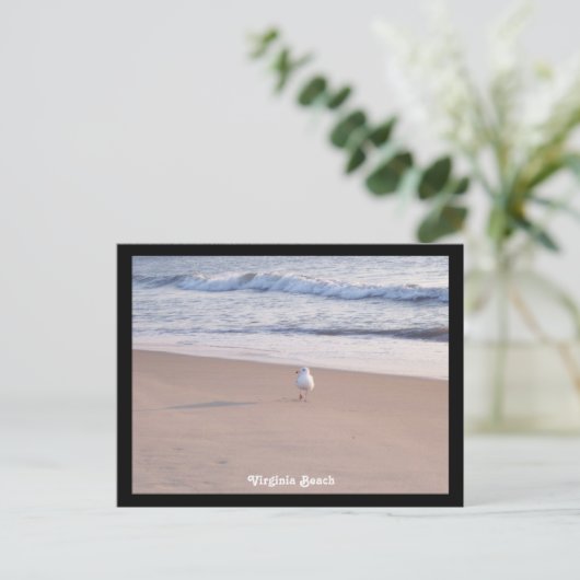 Virginia Beach Postkarte (Stehend Vorderseite)