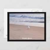 Virginia Beach Postkarte (Vorne/Hinten)