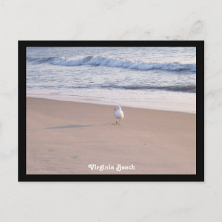 Virginia Beach Postkarte