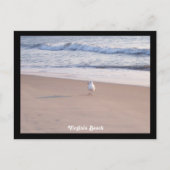 Virginia Beach Postkarte (Vorderseite)